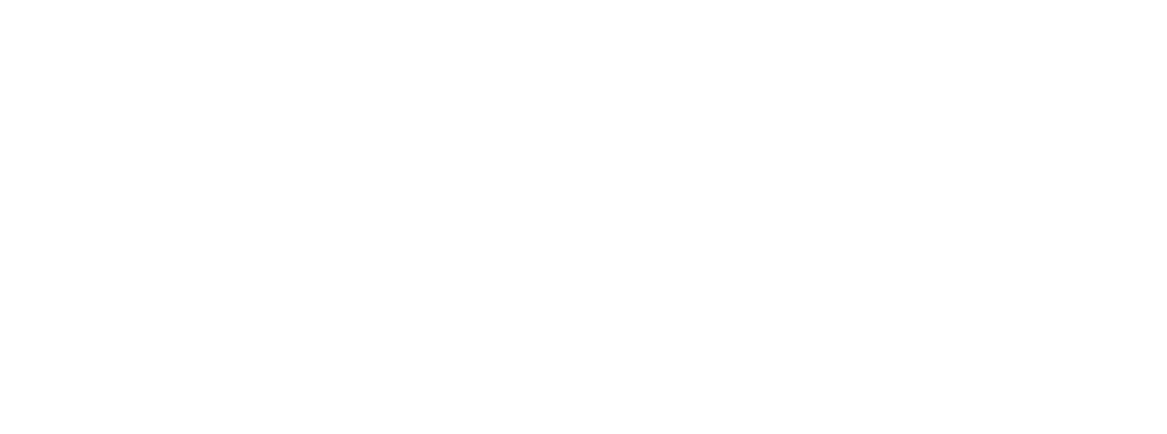 Український парламентський інститут